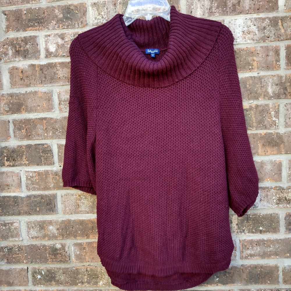Purple/Maroon Knitted Turtleneck Sweater Size Small